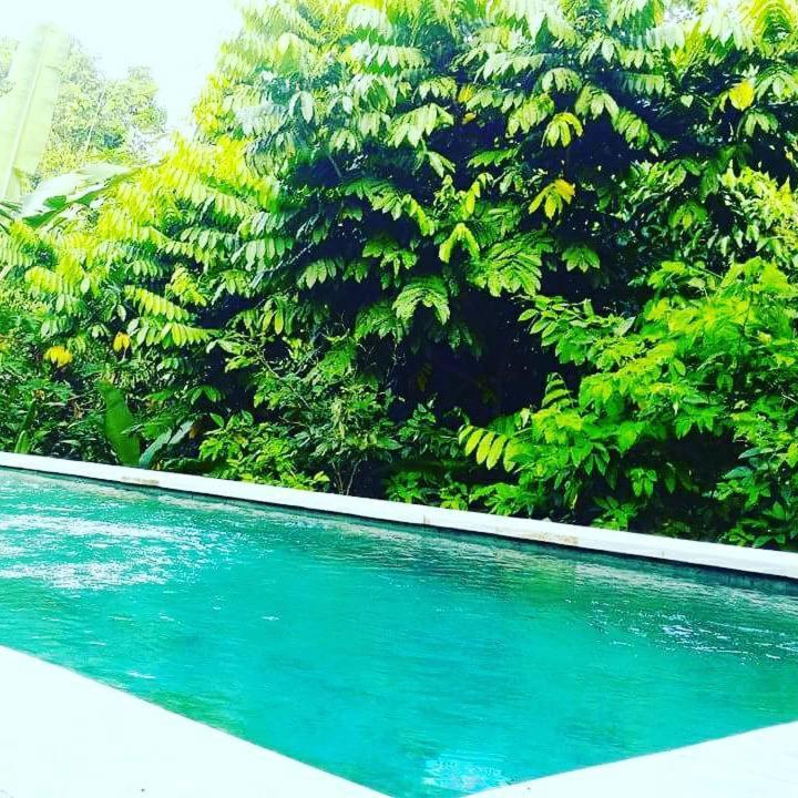 Bismajaya Bungalow Ubud  Ngoại thất bức ảnh