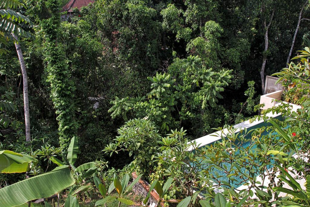 Bismajaya Bungalow Ubud  Ngoại thất bức ảnh