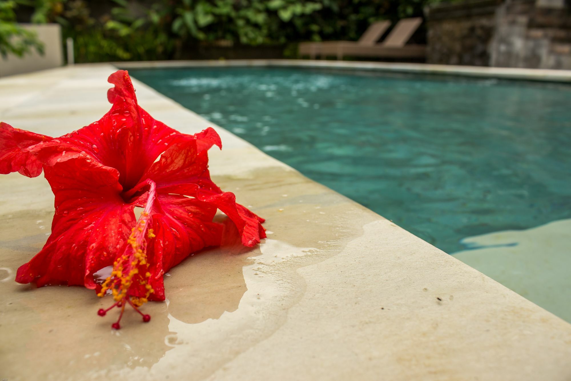 Bismajaya Bungalow Ubud  Ngoại thất bức ảnh