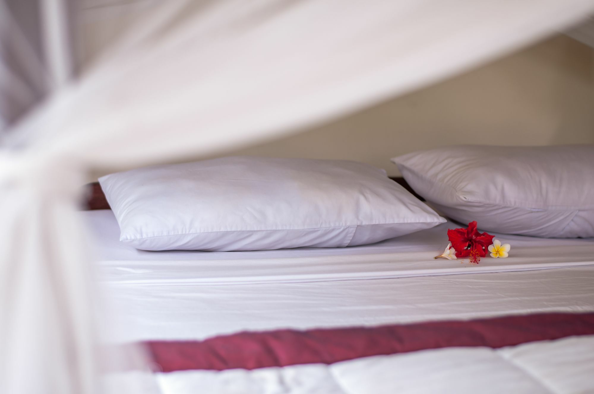 Bismajaya Bungalow Ubud  Ngoại thất bức ảnh