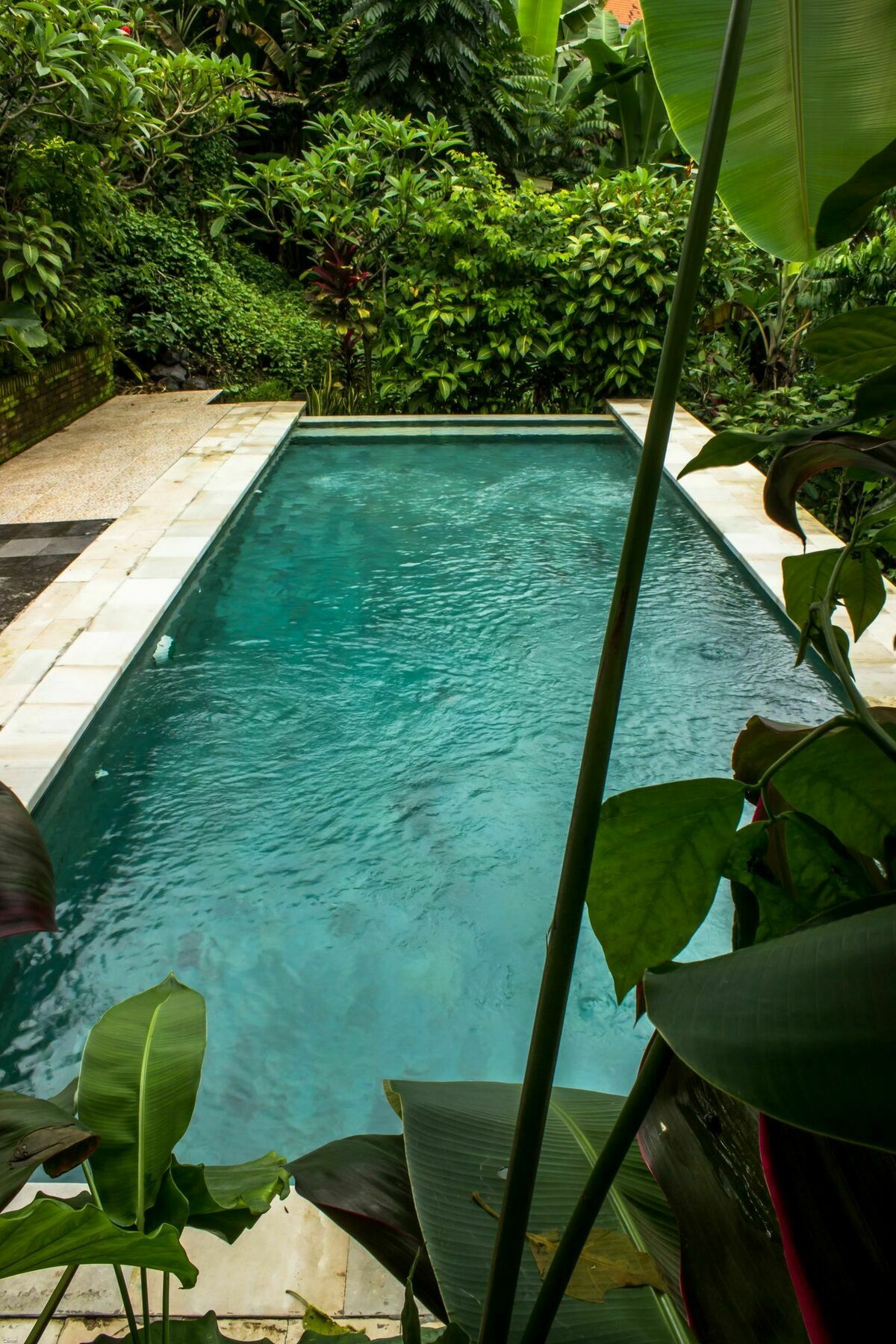 Bismajaya Bungalow Ubud  Ngoại thất bức ảnh